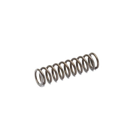 CZ Shadow 2 CZ TS 2 CZ 75B & SP-01 firing pin spring | -15% galios lengva